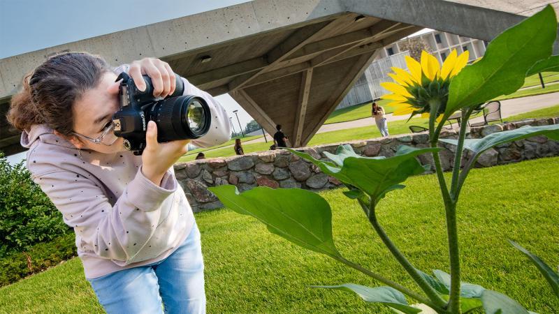 Students taking a photo of a sunflower.